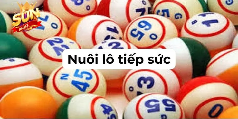 Tìm hiểu thế nào là nuôi lô tiếp sức online?